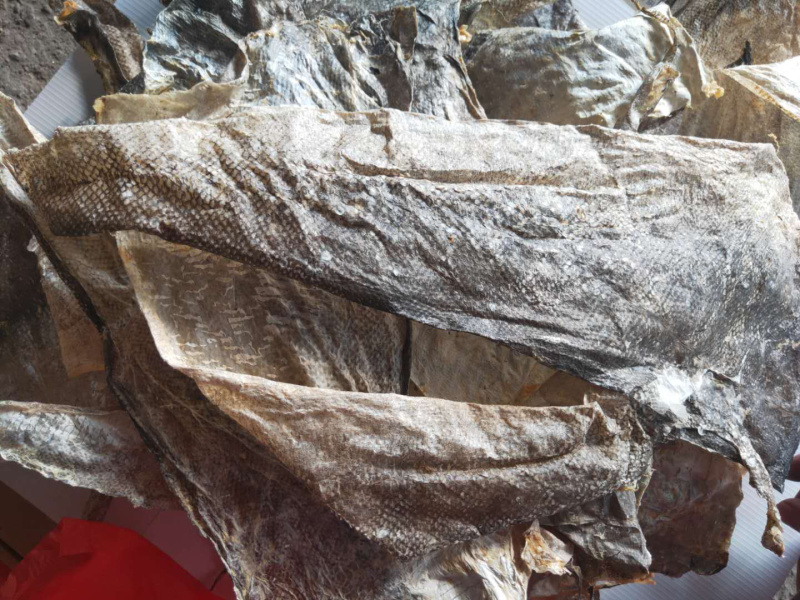 鱼皮深海鱼皮水产干货鱼皮
