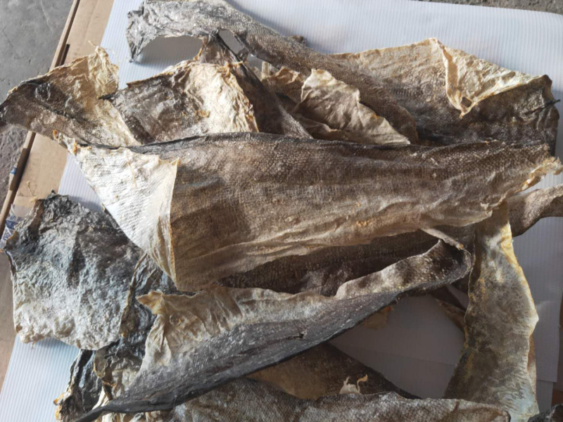鱼皮深海鱼皮水产干货鱼皮