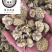 密蒙花保庆药业批发密蒙花实物拍摄！发货如图