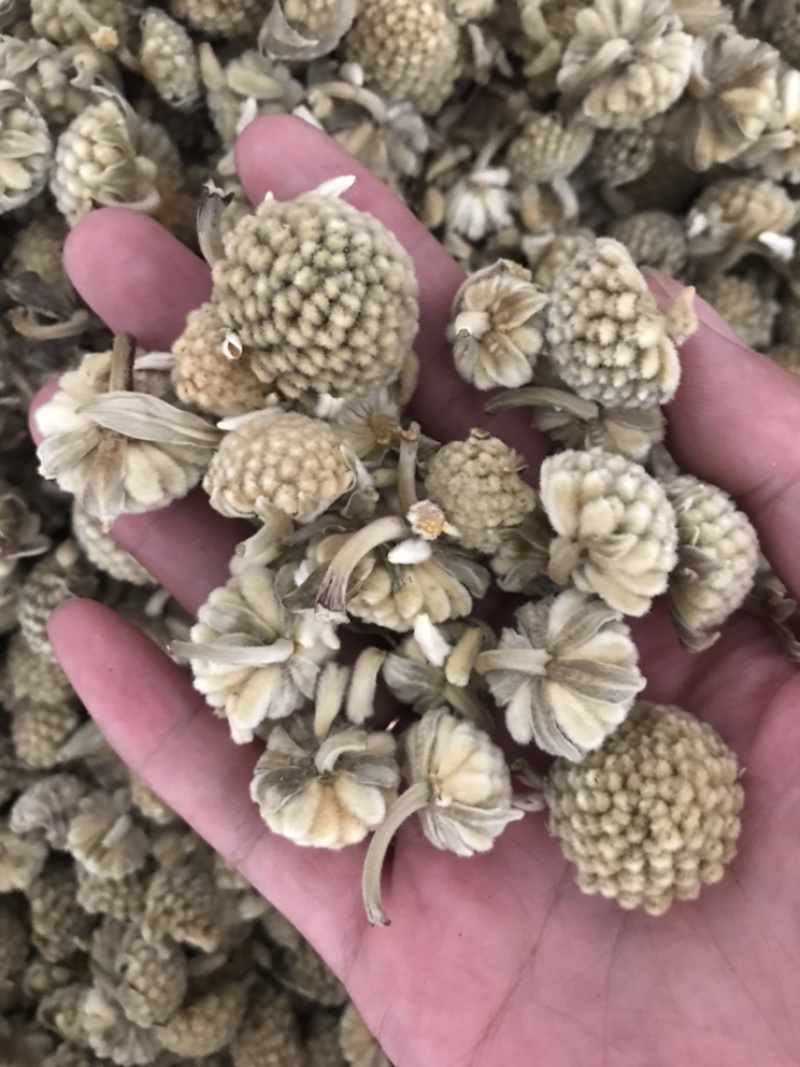 密蒙花保庆药业批发密蒙花实物拍摄！发货如图