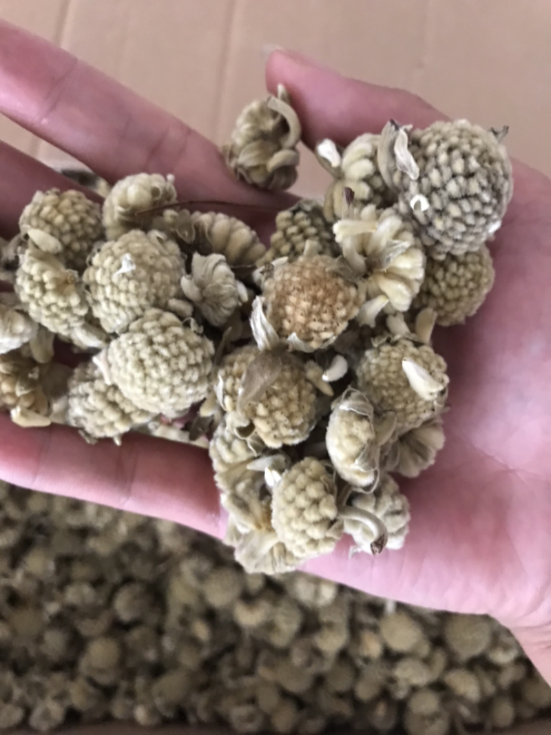 密蒙花保庆药业批发密蒙花实物拍摄！发货如图