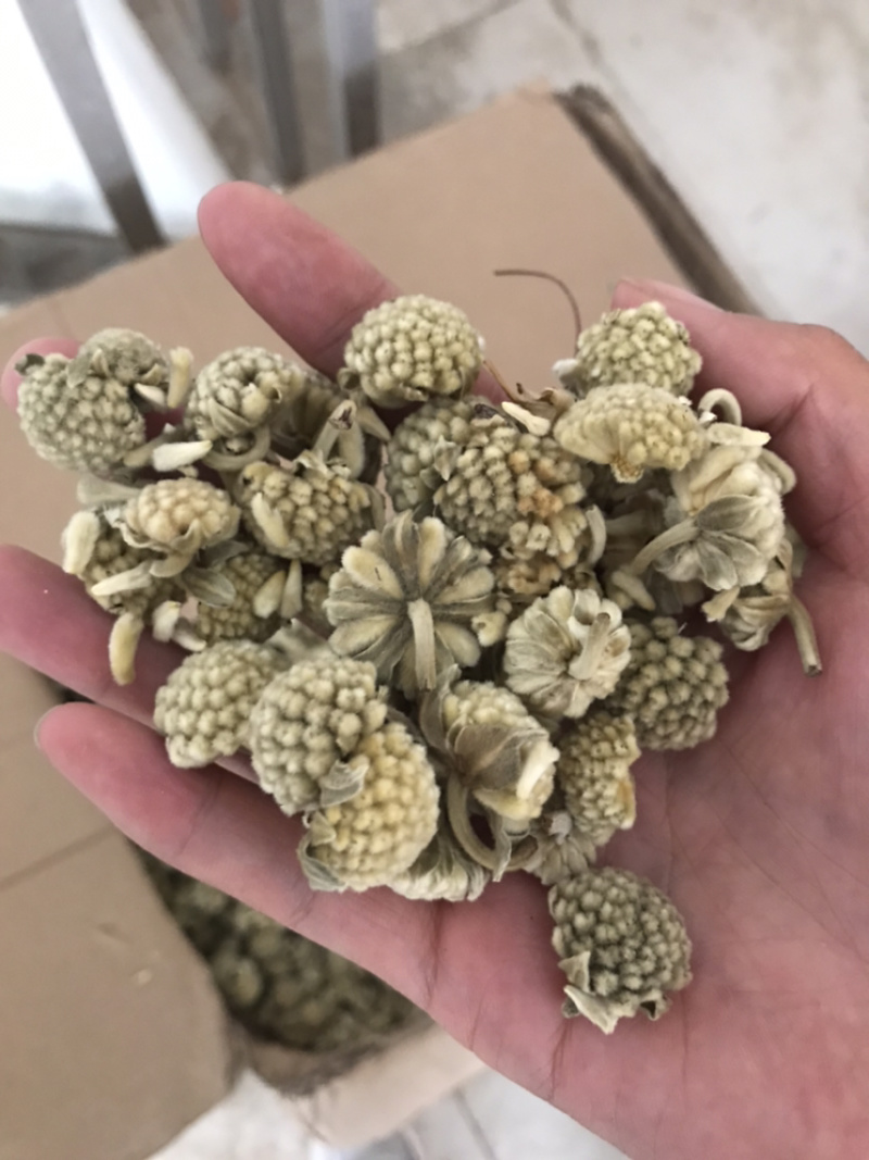 密蒙花保庆药业批发密蒙花实物拍摄！发货如图