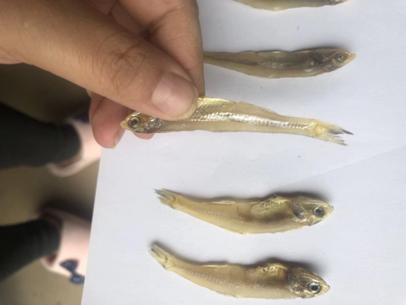 小鱼干深海小鱼干鱼干干鱼海产品干货