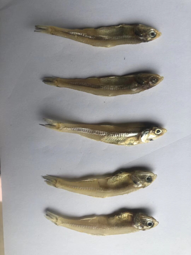 小鱼干深海小鱼干鱼干干鱼海产品干货
