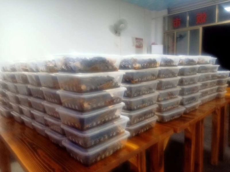 精品香酥植物油炸土鲮鱼干合适做罐头即吃香酥可口