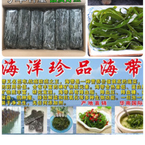 海带海洋珍品海带水产干货
