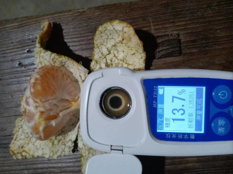 蜜桔(东江湖清江蜜桔批量特优)产地直供