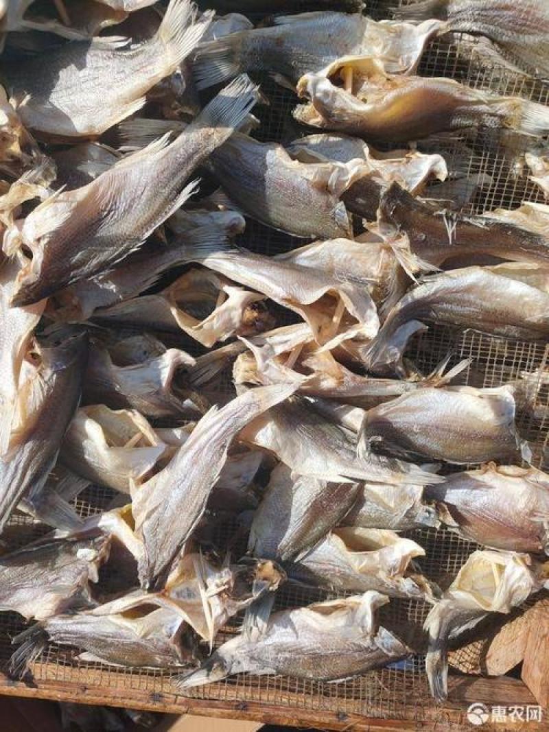 鲈鱼干高品质价格美丽煎炒蒸炸都好吃的摆摊靓货