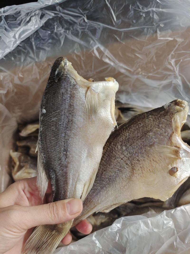 鲈鱼干高品质价格美丽煎炒蒸炸都好吃的摆摊靓货