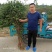 花椒苗大红袍花椒苗根据苗子的大小定价格品种纯正产量高
