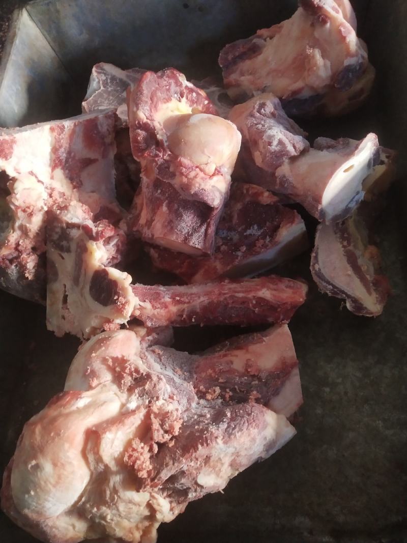 内蒙古锡林郭勒草地黄牛肉棒骨，牛肉棒骨头，肉大筋少。好吃