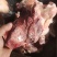 内蒙古锡林郭勒草地黄牛肉棒骨，牛肉棒骨头，肉大筋少。好吃