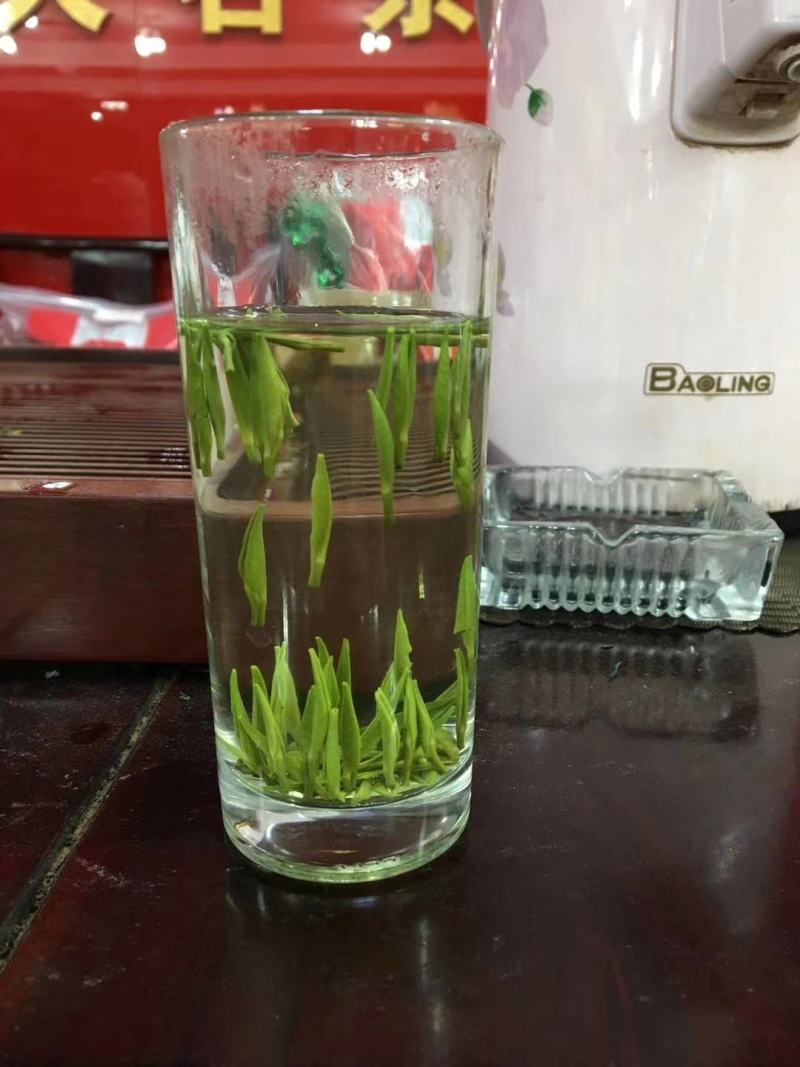 2021明前松针绿茶新茶包邮