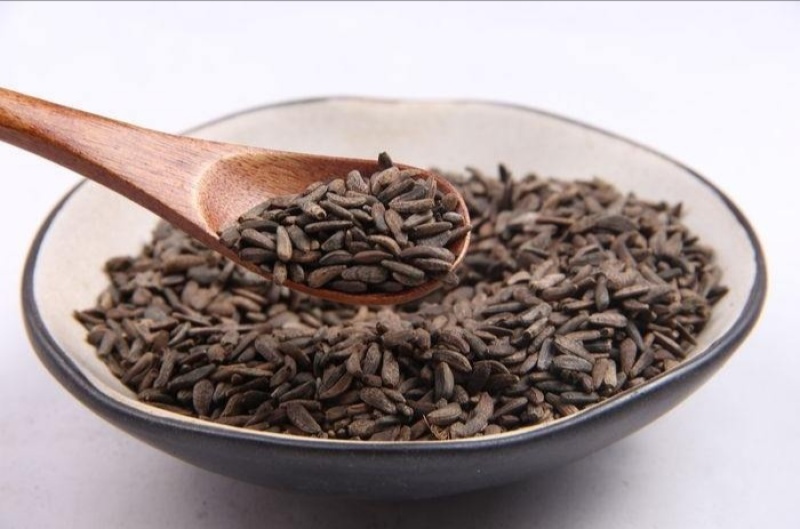 牛蒡子干货中药材用量大从优常年经营各种中药材