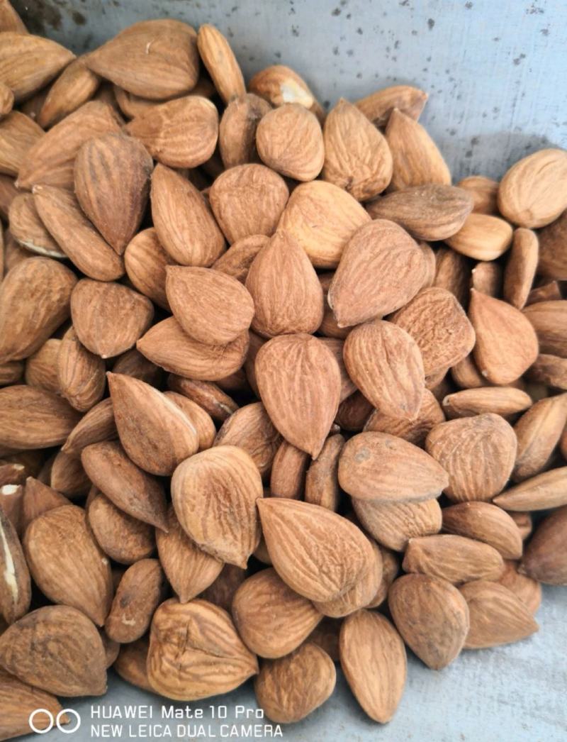 甜杏仁生带皮选货籽类饱满食用级别无硫量大从优