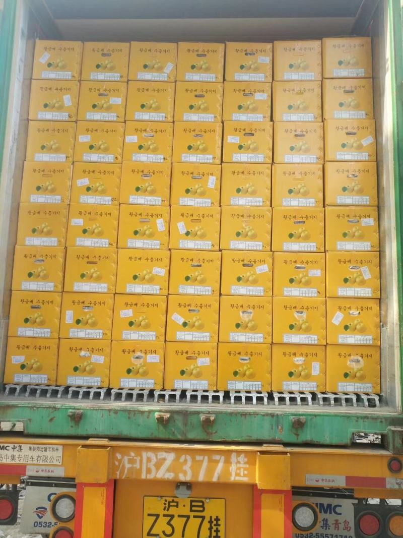 秋月梨精选，产地直供，保证质量供批发啇，电商，水果精品店
