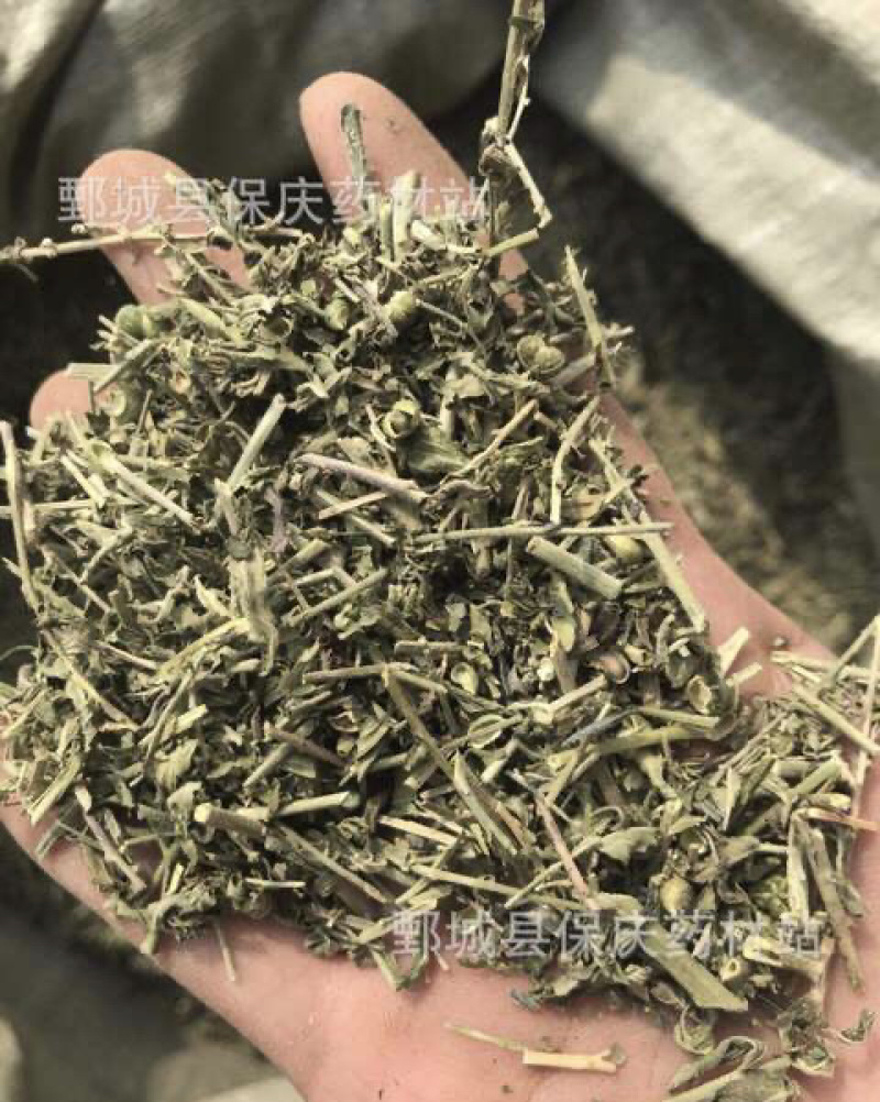 透骨草珍珠透骨草保庆药业透骨草实物拍摄发货如图