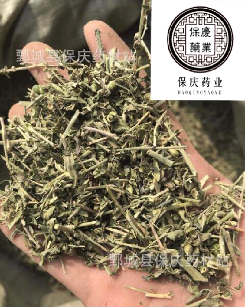 透骨草珍珠透骨草保庆药业透骨草实物拍摄发货如图