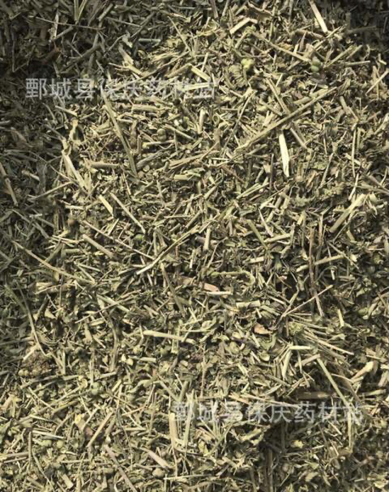 透骨草珍珠透骨草保庆药业透骨草实物拍摄发货如图
