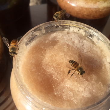 土蜂蜜湖北省京山市绿林土蜂蜜常年批发零售