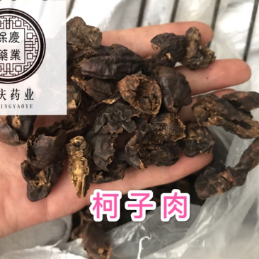 柯子肉柯子保庆药业批发柯子肉诃子肉