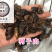 柯子肉柯子保庆药业批发柯子肉诃子肉