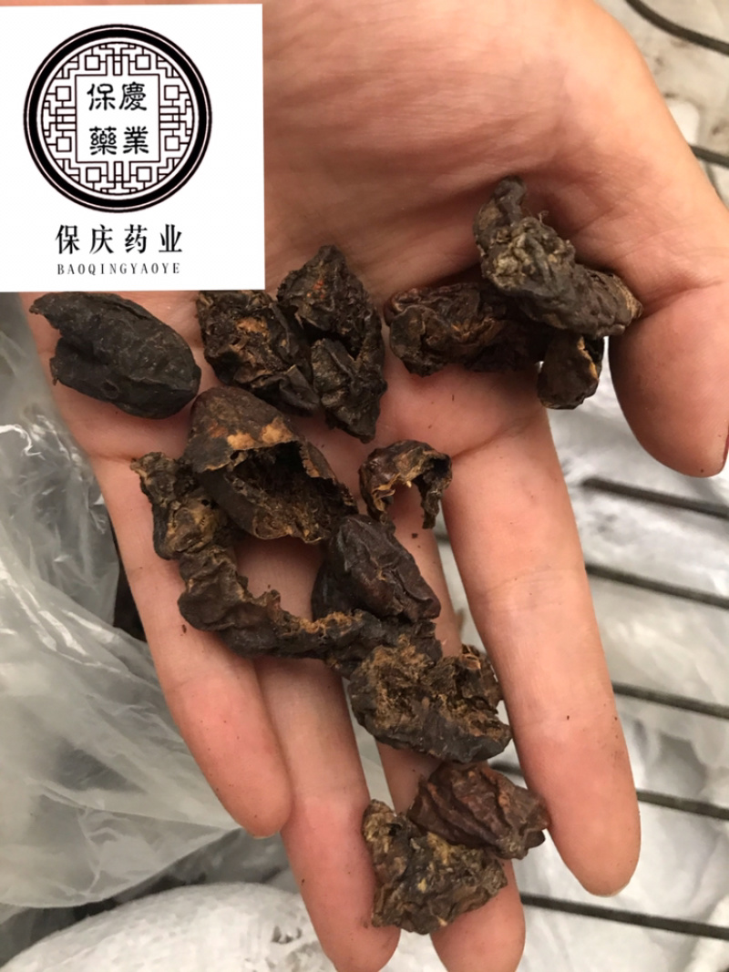 柯子肉柯子保庆药业批发柯子肉诃子肉