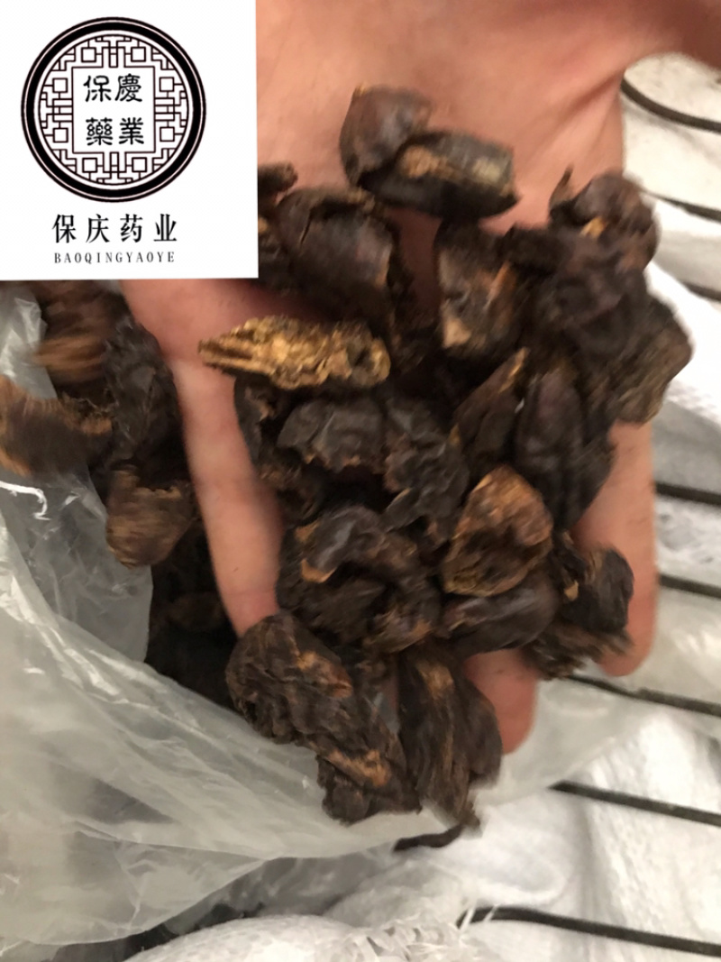 柯子肉柯子保庆药业批发柯子肉诃子肉
