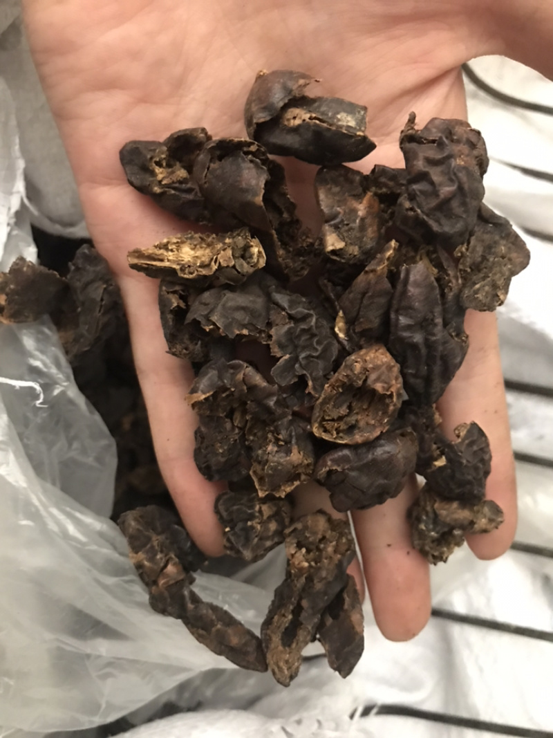 柯子肉柯子保庆药业批发柯子肉诃子肉