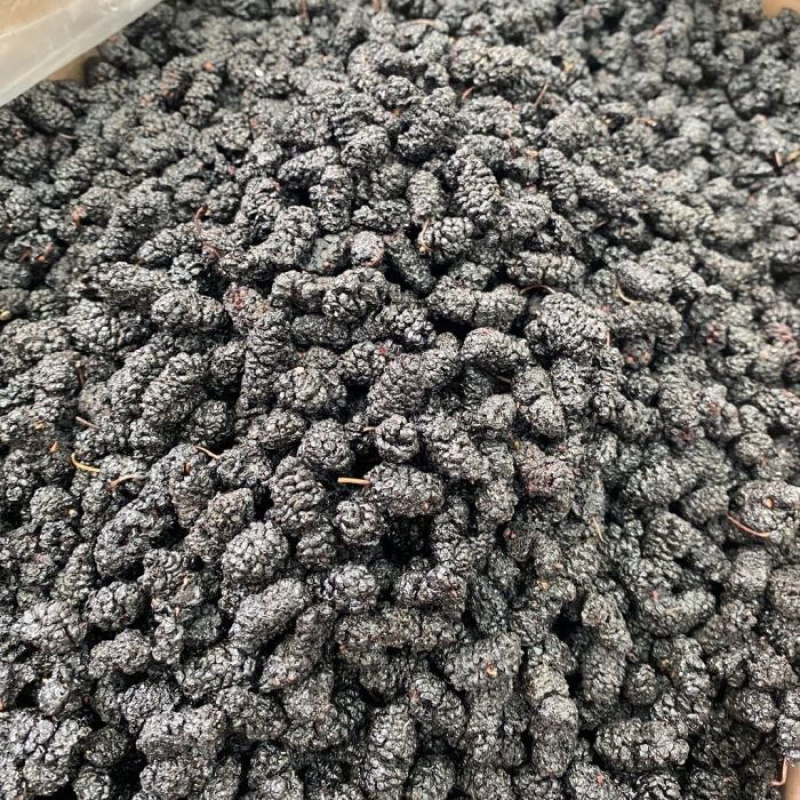 桑葚桑葚干保庆药业批发桑葚中药材实物拍摄各种规格