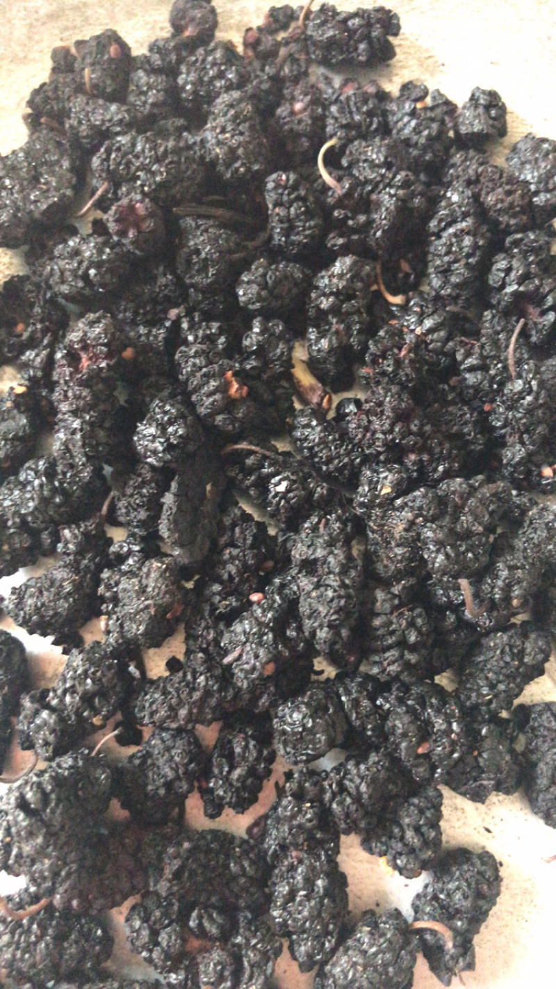 桑葚桑葚干保庆药业批发桑葚中药材实物拍摄各种规格
