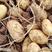 内蒙古武川优质黄心土豆，雪川红，V7，希森，二二六，代发全国
