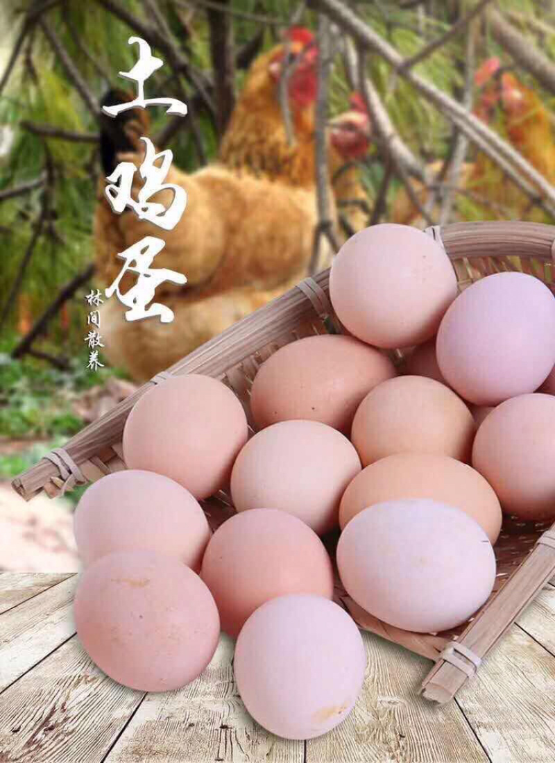 土鸡蛋绿林生态土鸡蛋常年批发零售欢迎品尝谢谢