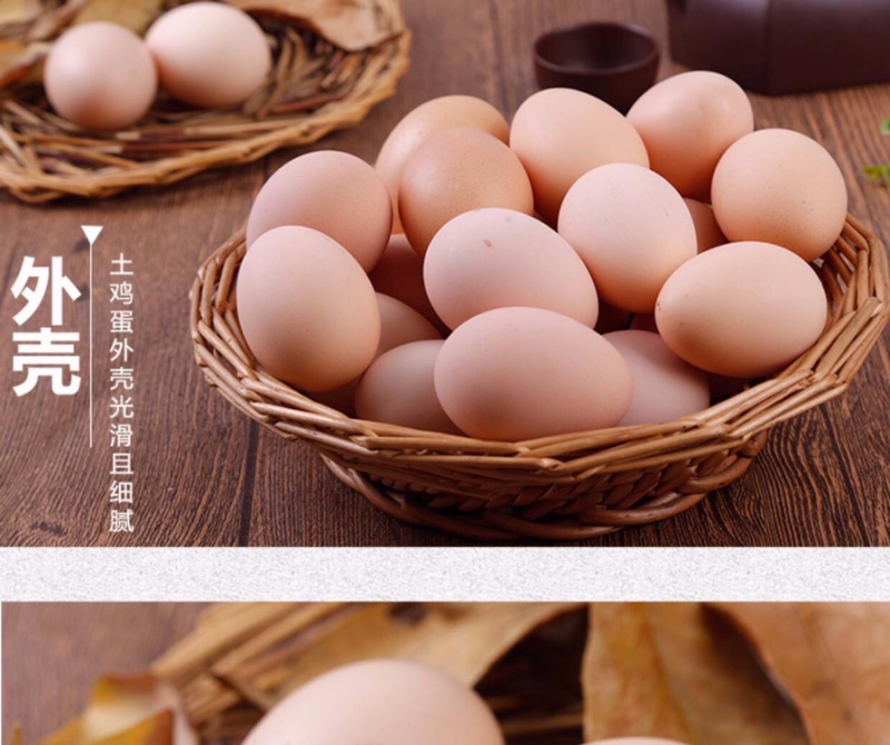 土鸡蛋绿林生态土鸡蛋常年批发零售欢迎品尝谢谢