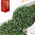 2021新茶高山云雾茶绿茶500g包邮