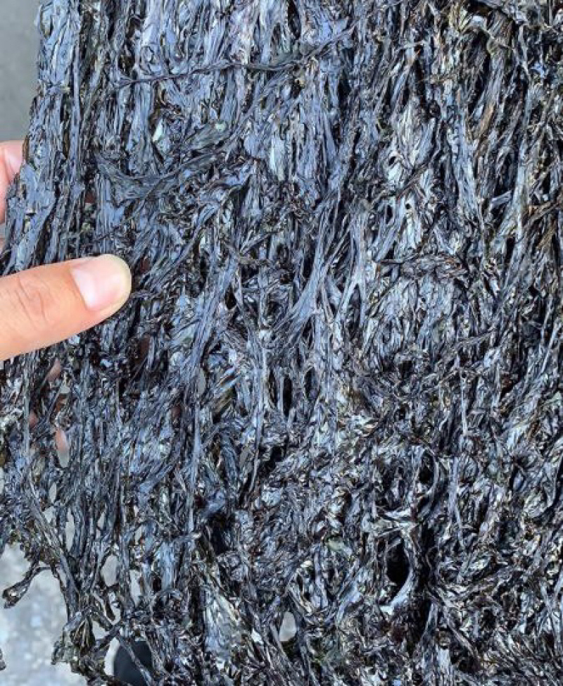 紫菜福建免洗无沙天然特级紫菜水产干货