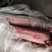 三号肉里脊肉带膘里脊，精瘦肉，，纯瘦肉，肉类产品都有