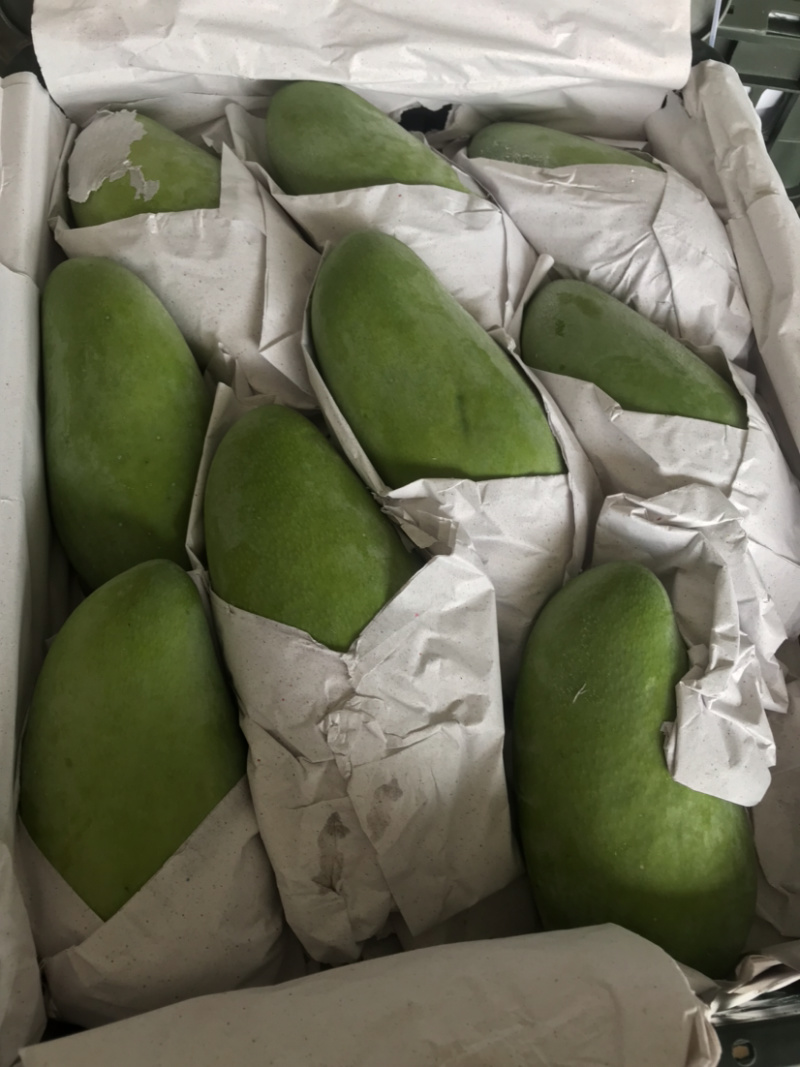 越南大青芒上市啦上市啦