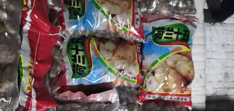 【产地直发】脱毒种薯基地品种齐全，荷兰15荷兰806