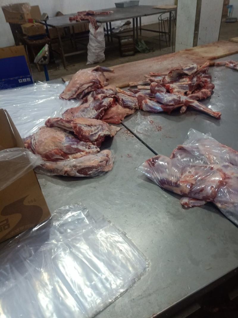 羊肉卷，羔羊肉卷，后腿包肉卷，货源充足，优美产品，，