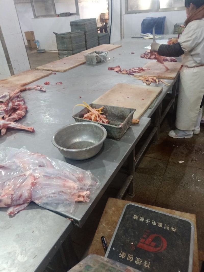 羊肉卷，羔羊肉卷，后腿包肉卷，货源充足，优美产品，，