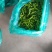 枣庄大棚辣椒有需要的老板吗。