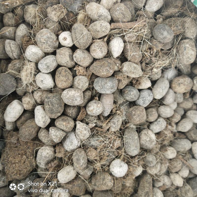 纯羊粪厂家直销物美价廉有机肥原料代替化肥