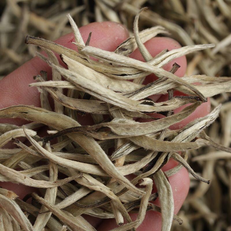 普洱茶生茶古树大白毫单芽月光白单芽500g包邮
