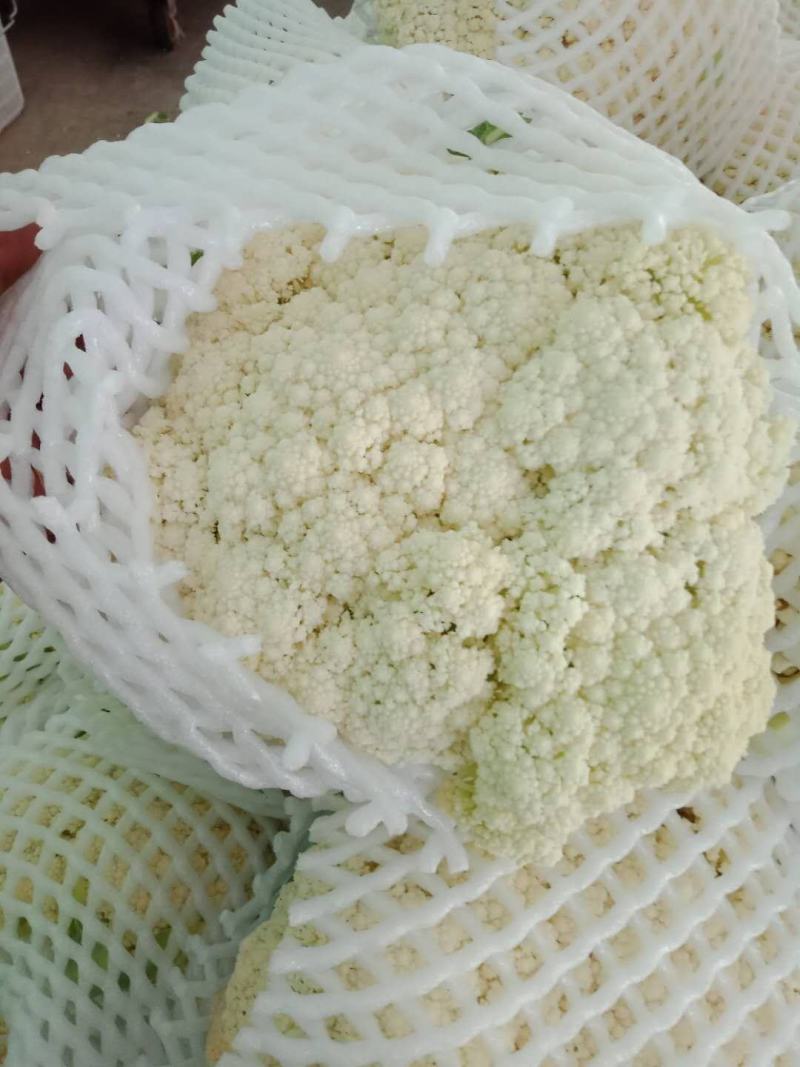 陕西有机花菜上市了，可发往全国各地