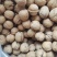大量辽一核桃质量保证