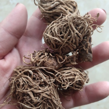 头顶一颗珠专营各种冷背中药材批发零售各种规格