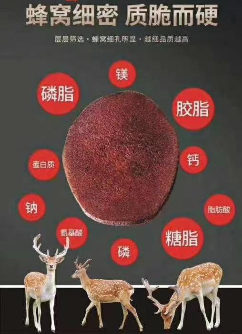 鹿茸红粉片足干鹿茸红粉片饱满涵血量鹿场一手货源