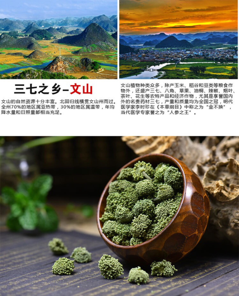云南文山三七花田七花三年四年花新三七花地摊销售批发