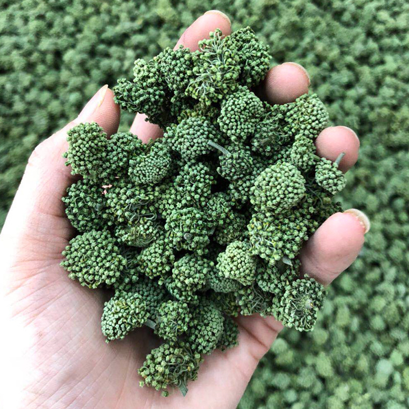 云南文山三七花田七花三年四年花新三七花地摊销售批发